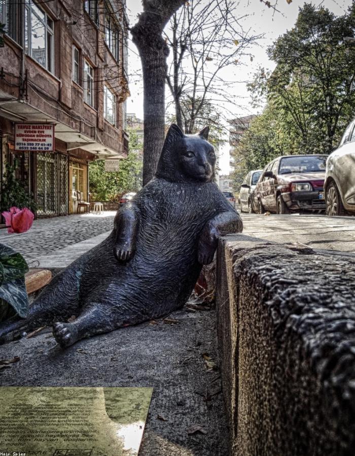 Kampüs bahçesi